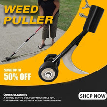 Load image into Gallery viewer, Weeds Snatcher Crack and Crevice Weeding Tool